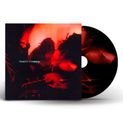 CD LES SHIRLEY Hail Mary