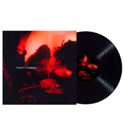 LP LES SHIRLEY Hail Mary